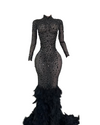 Aurora Crystal Feather Gown